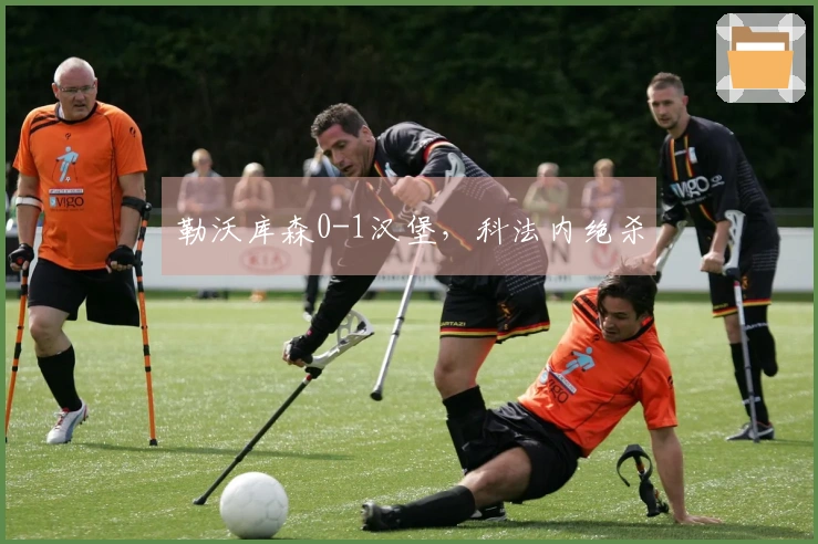 勒沃库森0-1汉堡，科法内绝杀