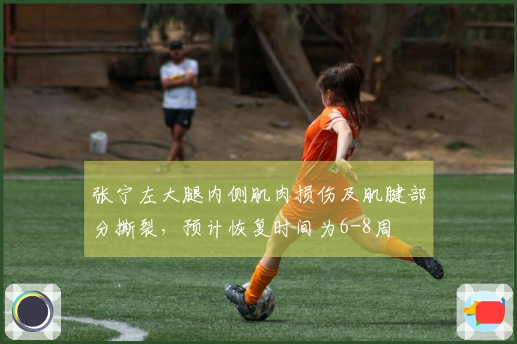 张宁左大腿内侧肌肉损伤及肌腱部分撕裂，预计恢复时间为6-8周
